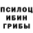 Галлюциногенные грибы мицелий POMIK PIDA