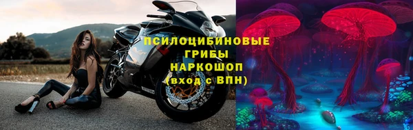 твердый Алзамай