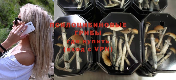 марки nbome Алексеевка