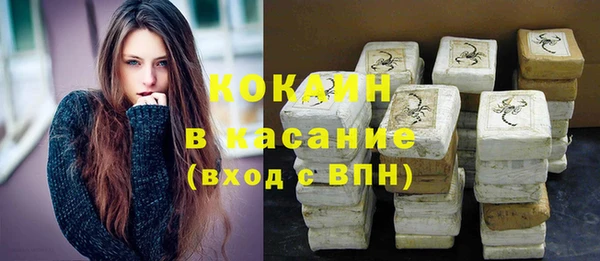 твердый Алзамай