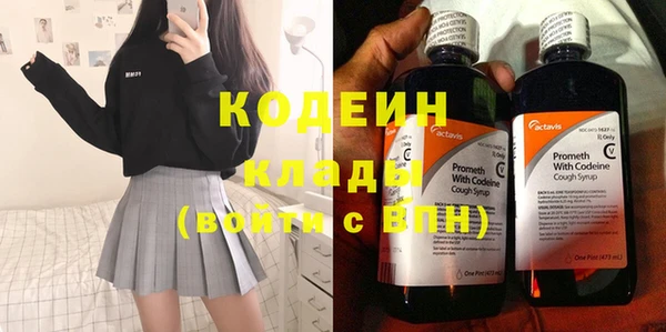 сатива Надым