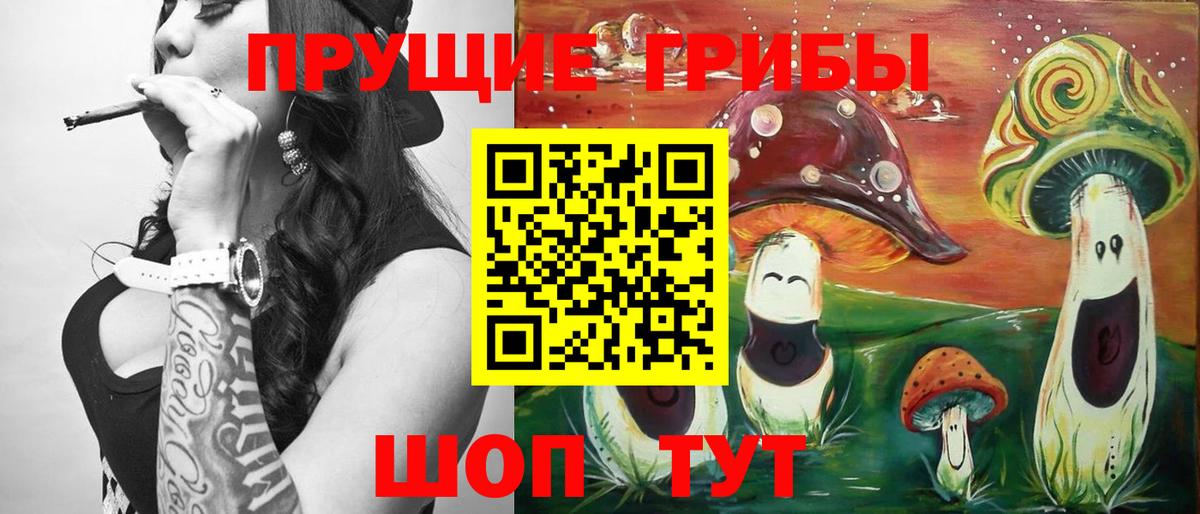 Псилоцибиновые грибы GOLDEN TEACHER  Галлюциногенные грибы Magic Shrooms  Евпатория  Вход с VPN 